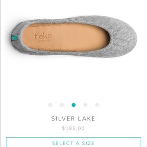 Tieks Silver Lake Size 8